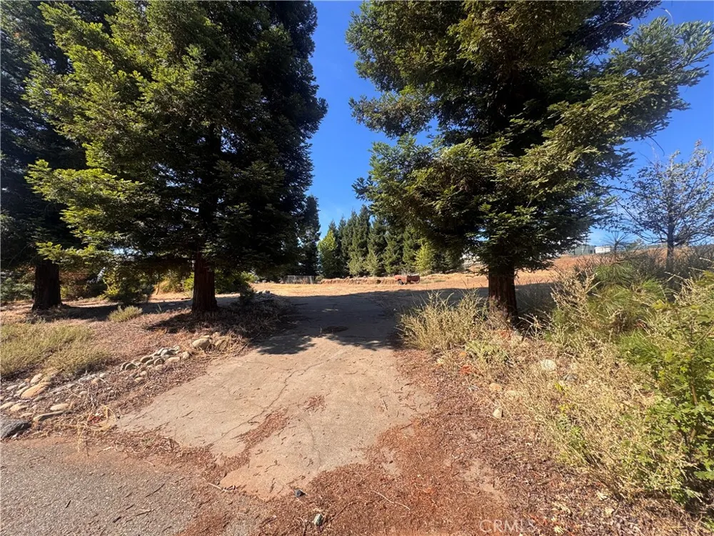 5595 Gramercy Paradise, CA 95969