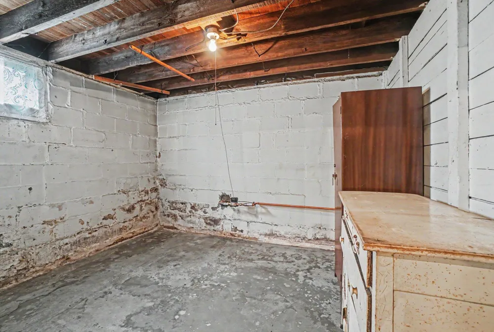 1217 E Vine Street Kalamazoo City, MI 49001