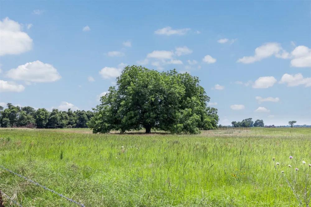 476 LCR 640 Groesbeck, TX 76642