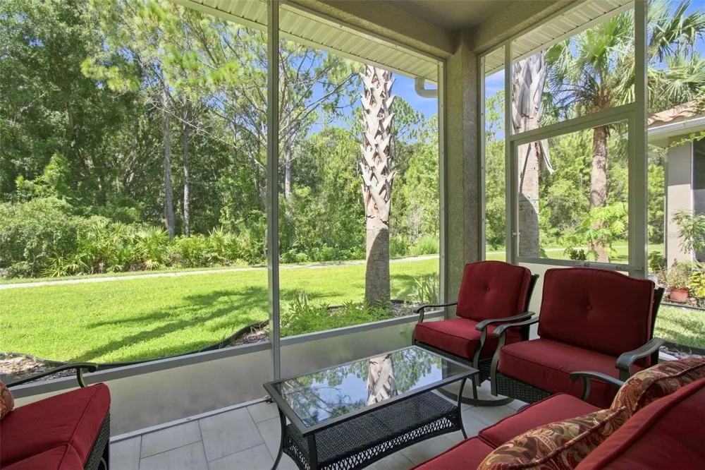 29817 ANAND VIHAR DRIVE Wesley Chapel, FL 33543