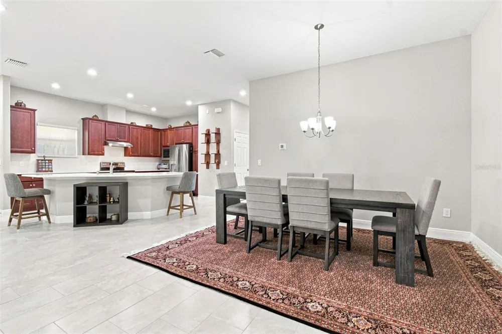 29817 ANAND VIHAR DRIVE Wesley Chapel, FL 33543