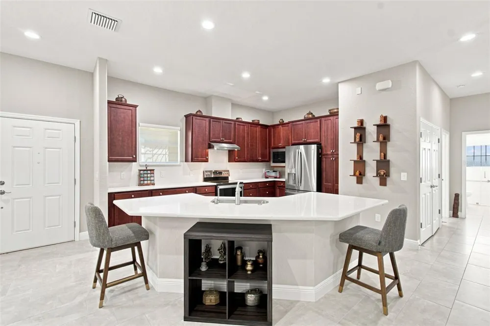 29817 ANAND VIHAR DRIVE Wesley Chapel, FL 33543