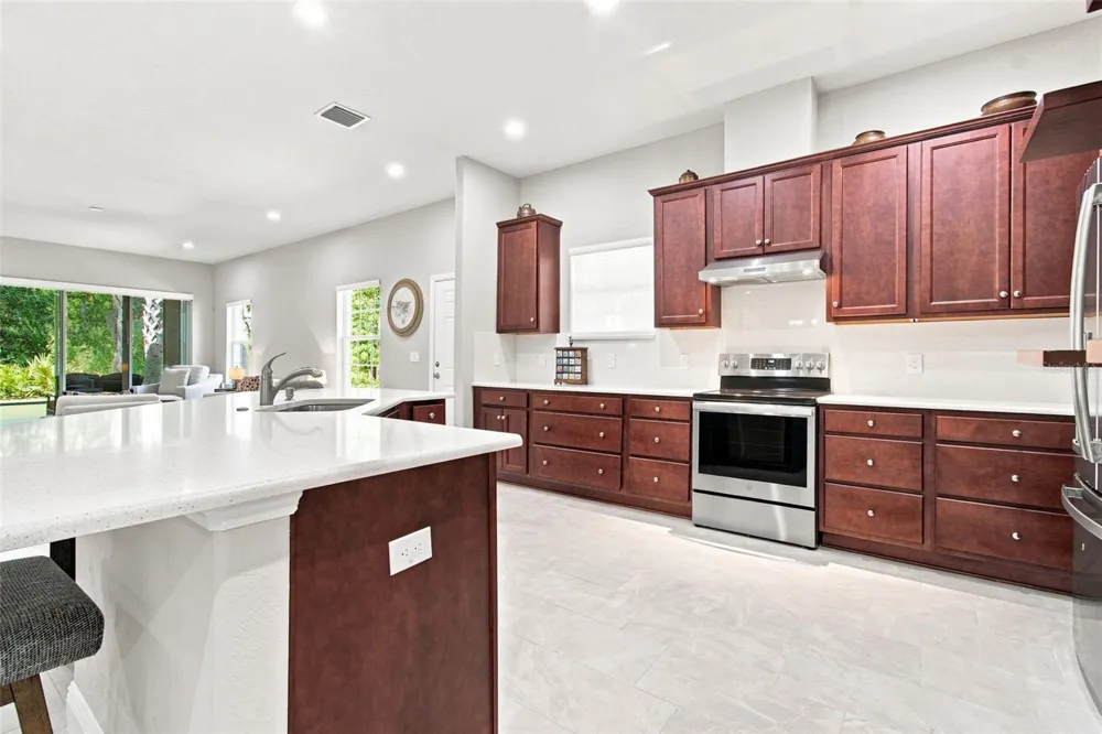 29817 ANAND VIHAR DRIVE Wesley Chapel, FL 33543