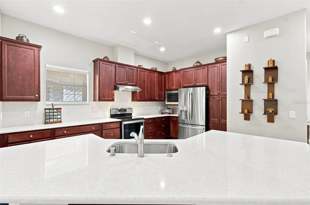 29817 ANAND VIHAR DRIVE Wesley Chapel, FL 33543