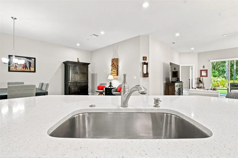 29817 ANAND VIHAR DRIVE Wesley Chapel, FL 33543