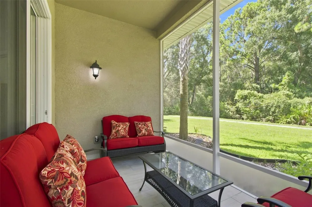 29817 ANAND VIHAR DRIVE Wesley Chapel, FL 33543