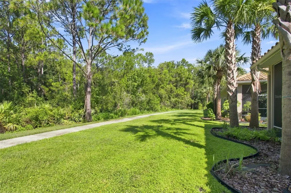 29817 ANAND VIHAR DRIVE Wesley Chapel, FL 33543