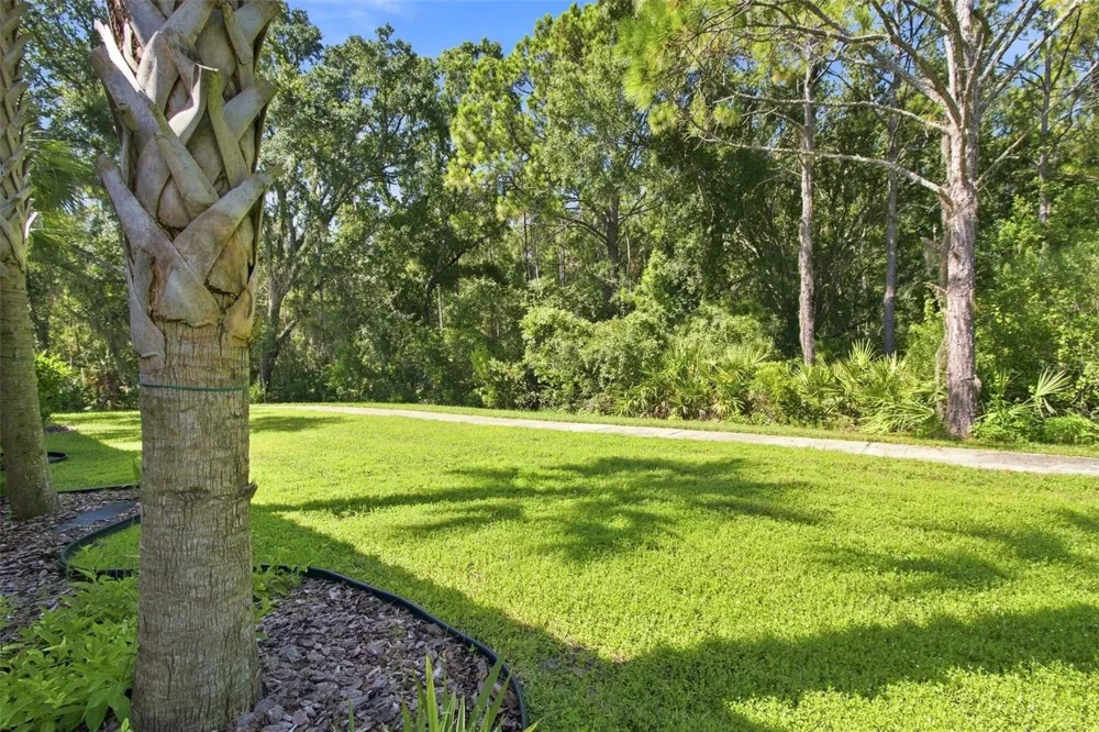 29817 ANAND VIHAR DRIVE Wesley Chapel, FL 33543