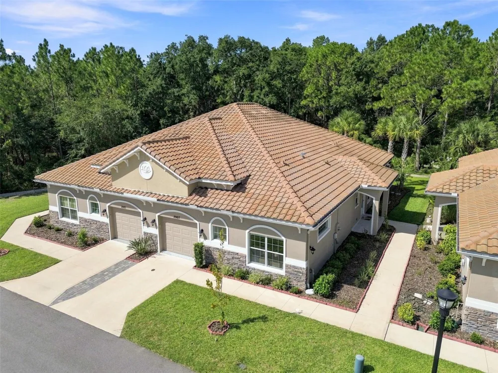 29817 ANAND VIHAR DRIVE Wesley Chapel, FL 33543