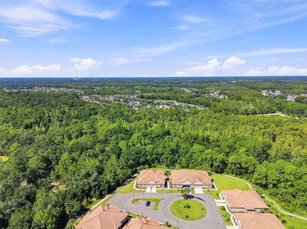 29817 ANAND VIHAR DRIVE Wesley Chapel, FL 33543