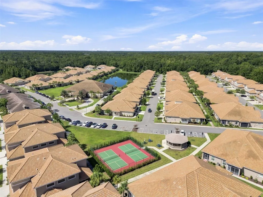 29817 ANAND VIHAR DRIVE Wesley Chapel, FL 33543