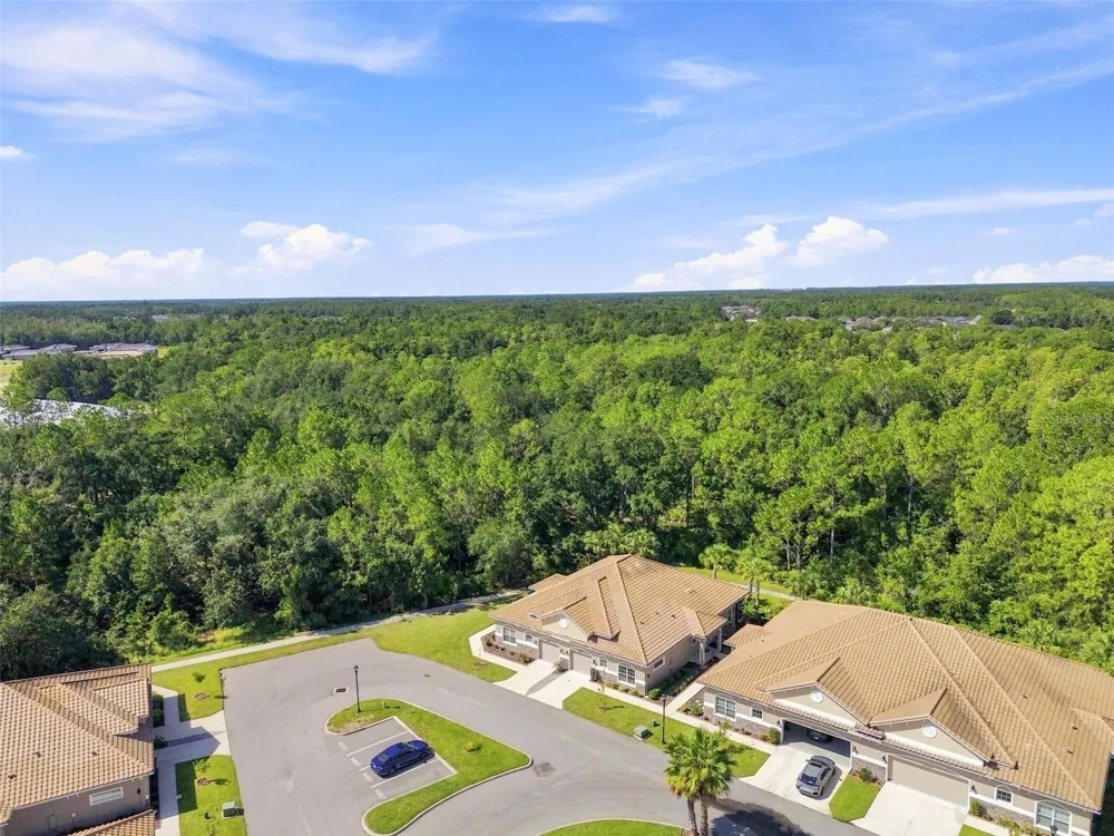 29817 ANAND VIHAR DRIVE Wesley Chapel, FL 33543