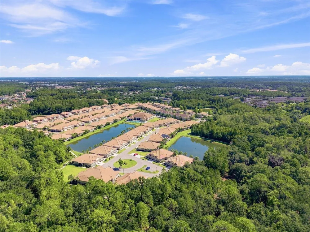 29817 ANAND VIHAR DRIVE Wesley Chapel, FL 33543
