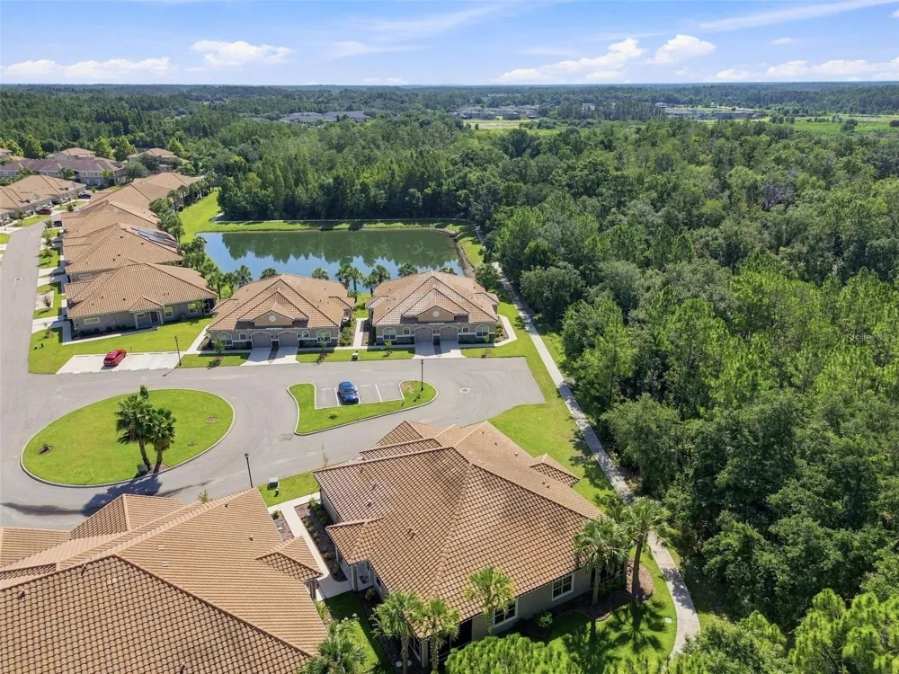 29817 ANAND VIHAR DRIVE Wesley Chapel, FL 33543