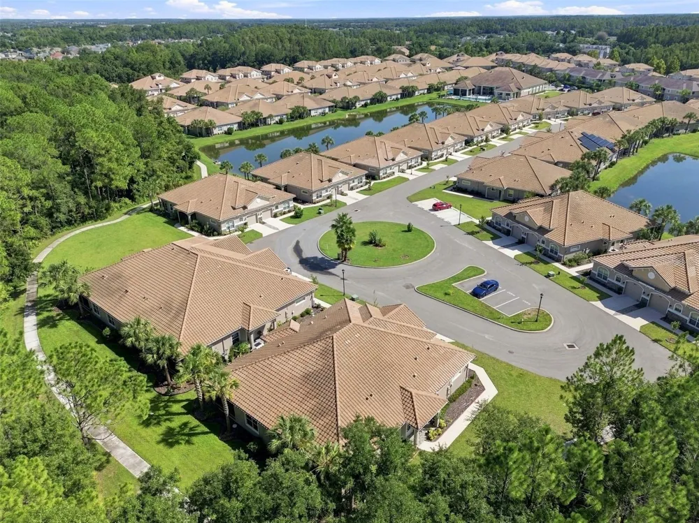 29817 ANAND VIHAR DRIVE Wesley Chapel, FL 33543