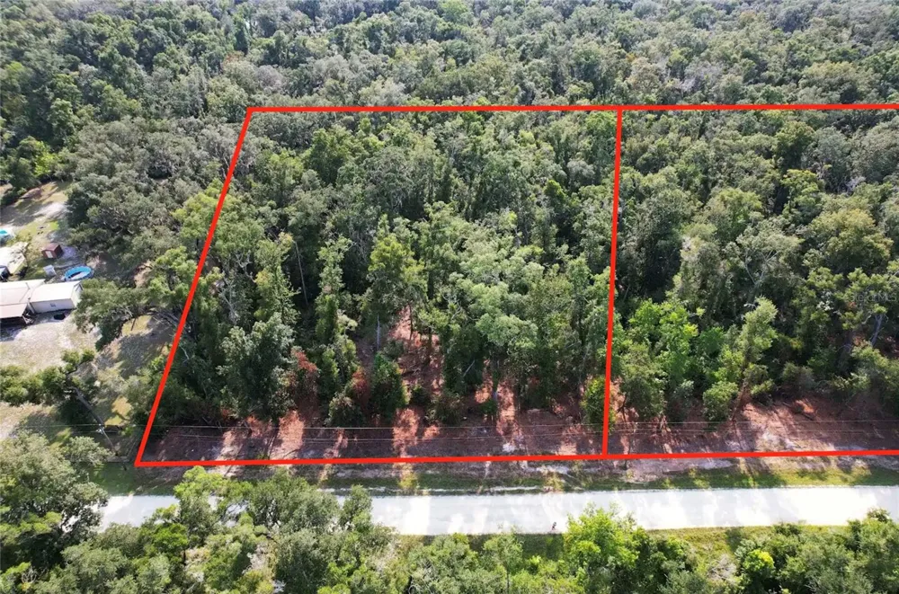 NE 497TH STREET Old Town, FL 32680
