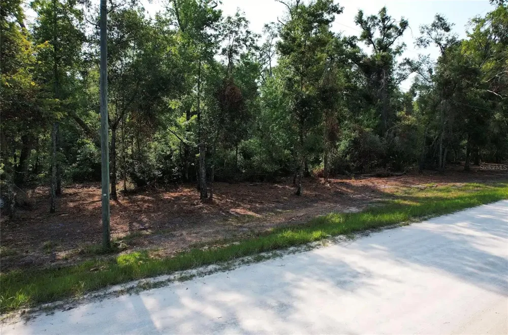 NE 497TH STREET Old Town, FL 32680