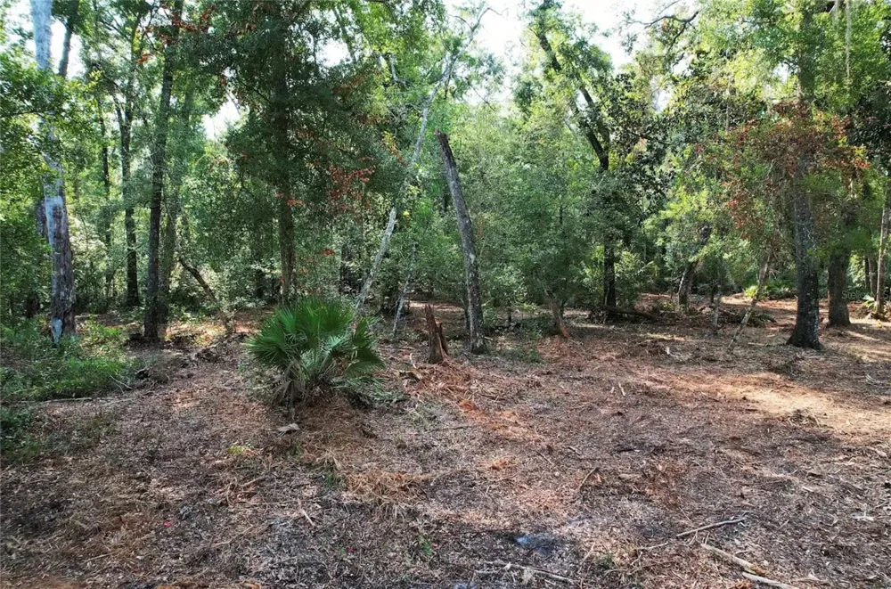 NE 497TH STREET Old Town, FL 32680