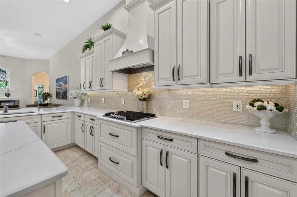 5603 EAGLEGLEN PLACE Lithia, FL 33547