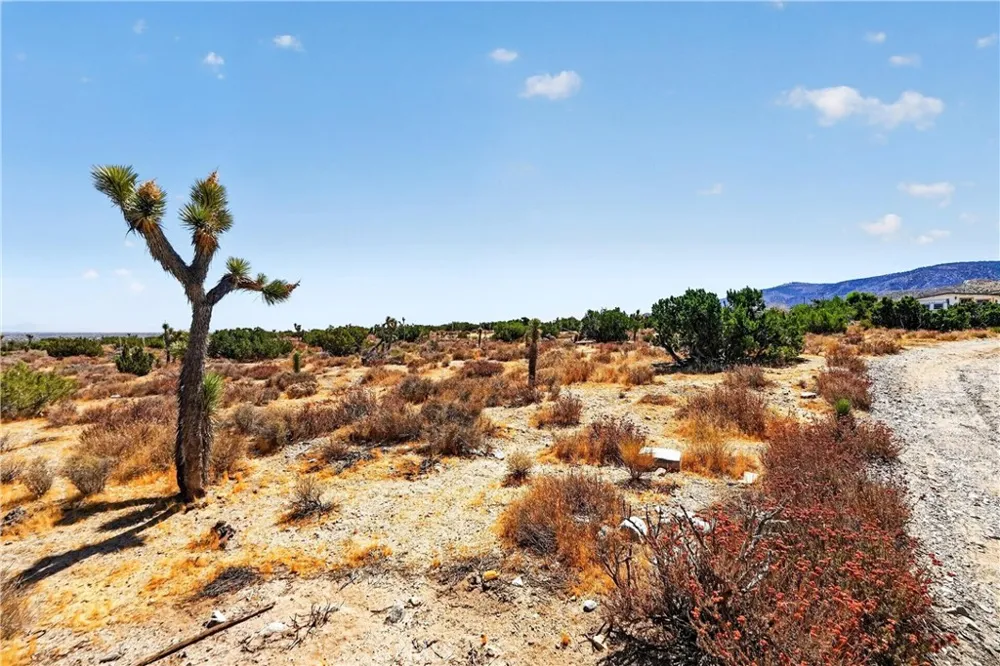 23503 E Avenue Z Llano, CA 93544