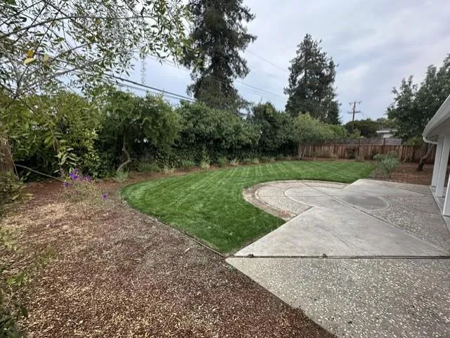1369 Chelsea Drive Los Altos, CA 94024