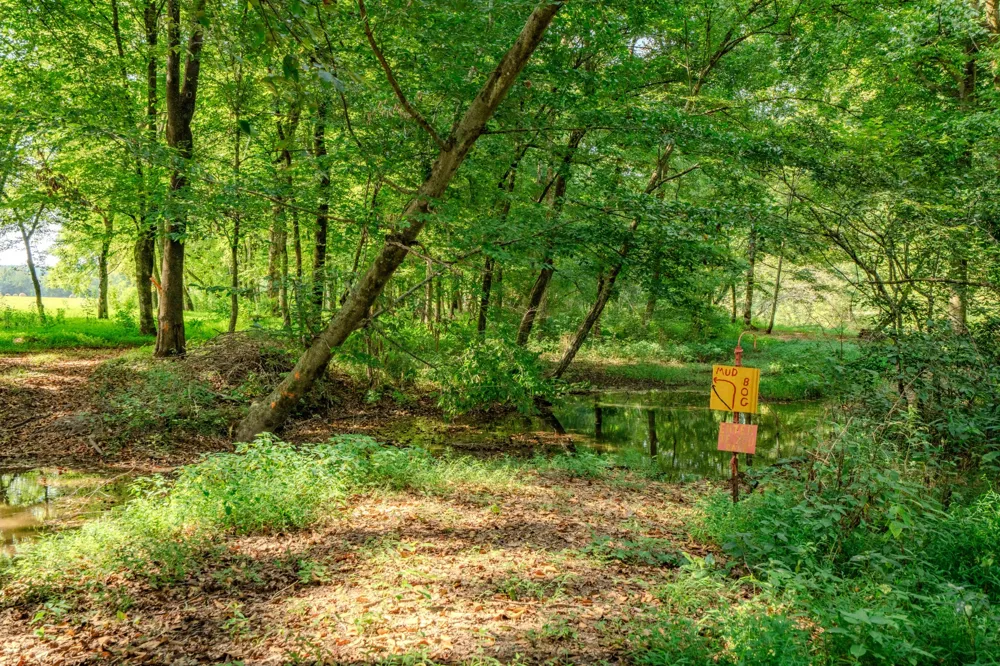 9270 Last Butler Rd Iron City, TN 38463