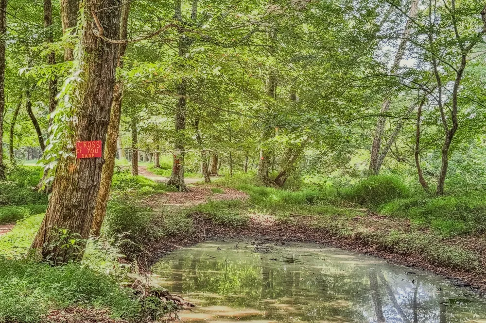 9270 Last Butler Rd Iron City, TN 38463