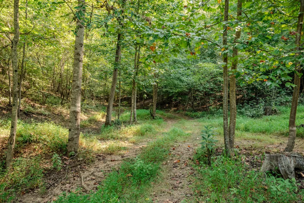 9270 Last Butler Rd Iron City, TN 38463