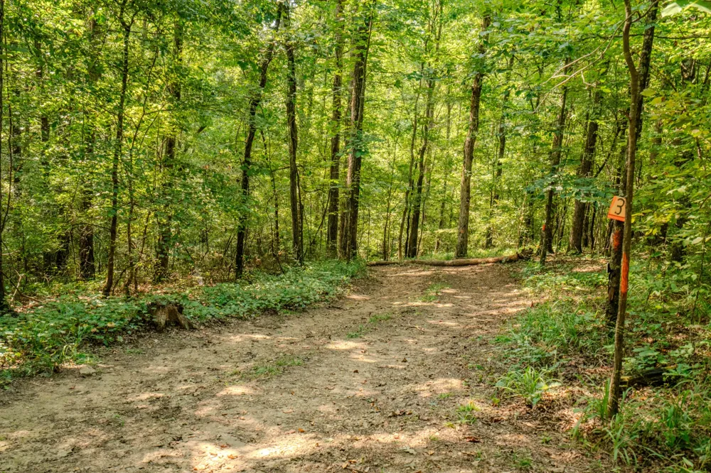 9270 Last Butler Rd Iron City, TN 38463