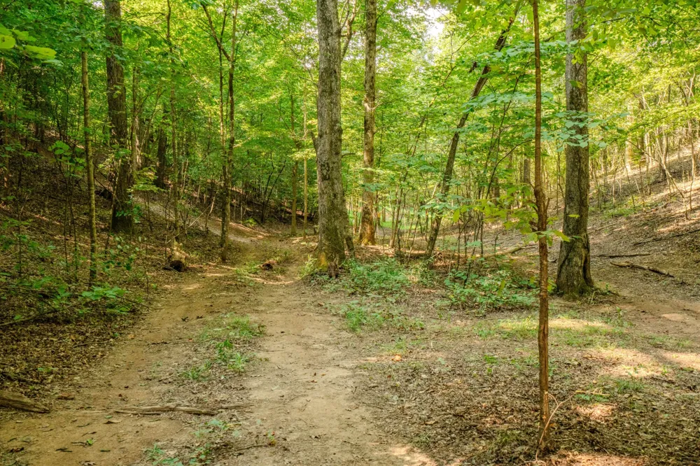 9270 Last Butler Rd Iron City, TN 38463