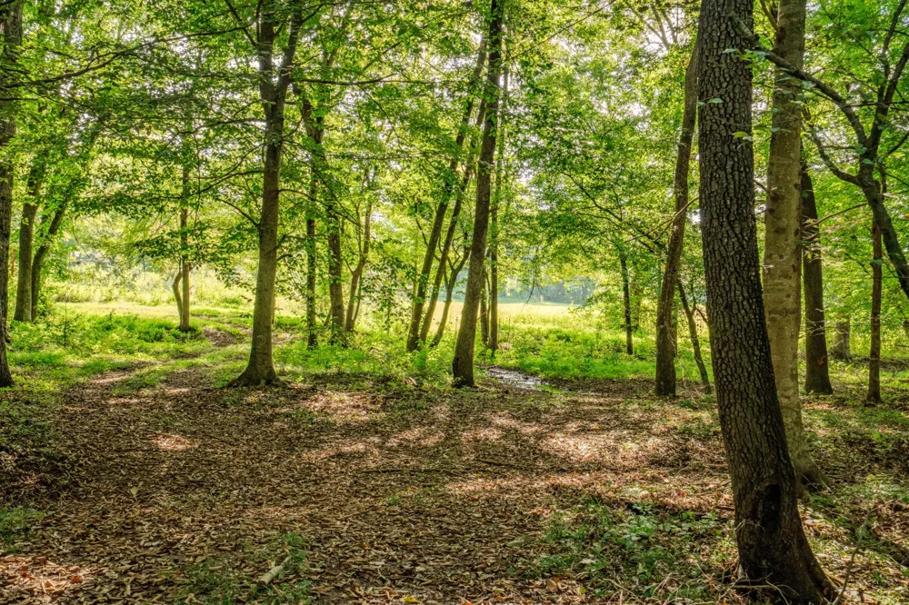 9270 Last Butler Rd Iron City, TN 38463