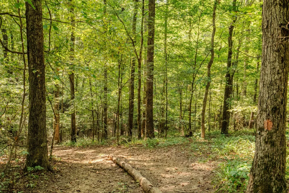 9270 Last Butler Rd Iron City, TN 38463
