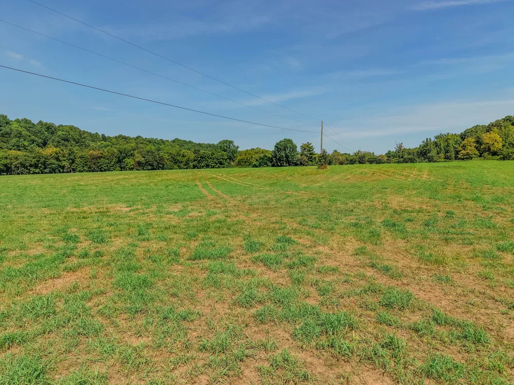9270 Last Butler Rd Iron City, TN 38463