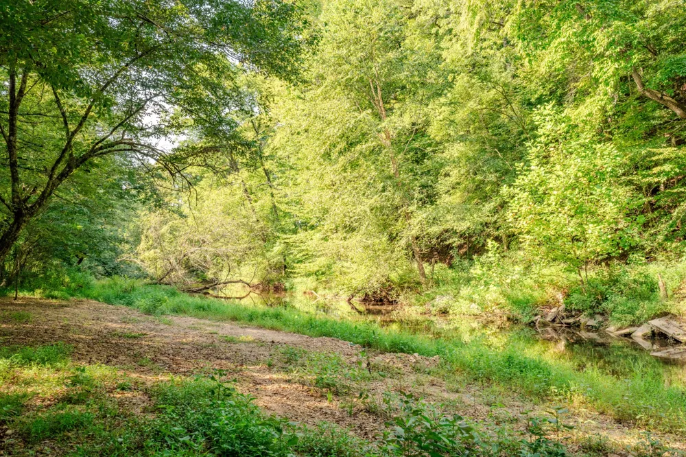 9270 Last Butler Rd Iron City, TN 38463