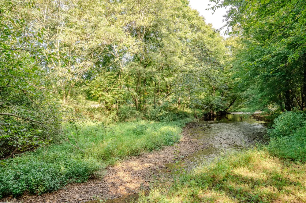 9270 Last Butler Rd Iron City, TN 38463