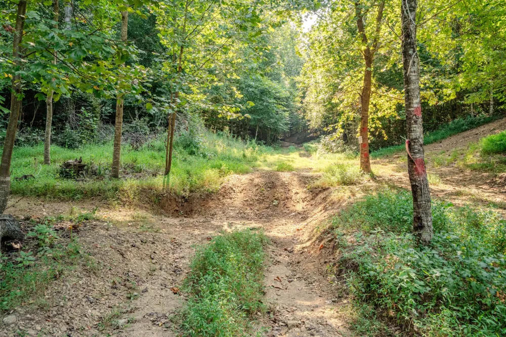 9270 Last Butler Rd Iron City, TN 38463