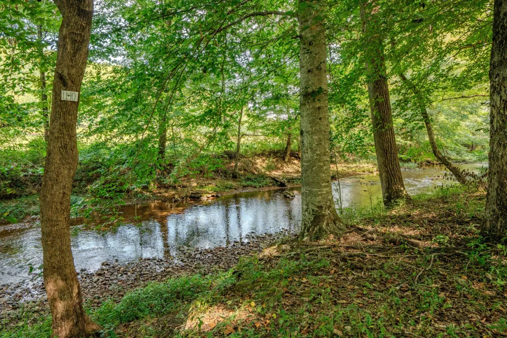 9270 Last Butler Rd Iron City, TN 38463