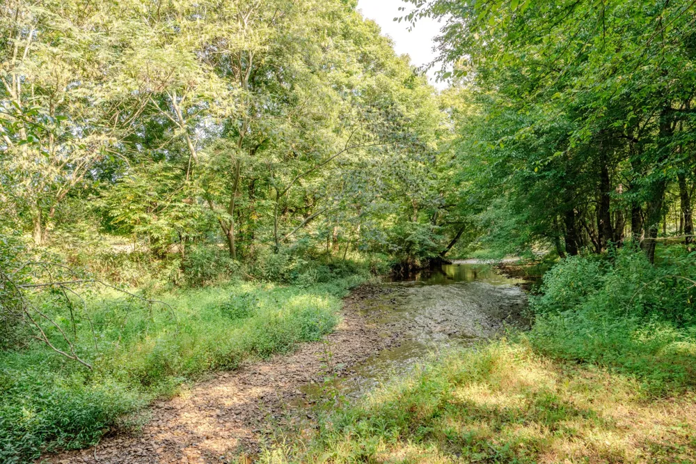 9270 Last Butler Rd Iron City, TN 38463
