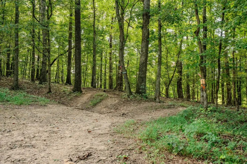 9270 Last Butler Rd Iron City, TN 38463