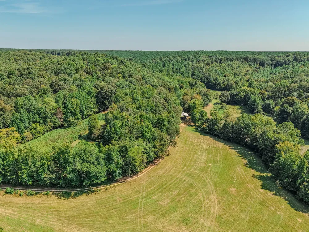 9270 Last Butler Rd Iron City, TN 38463