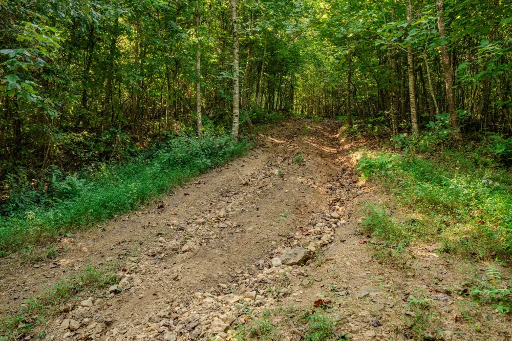 9270 Last Butler Rd Iron City, TN 38463