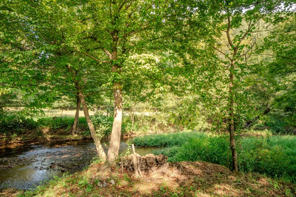 9270 Last Butler Rd Iron City, TN 38463
