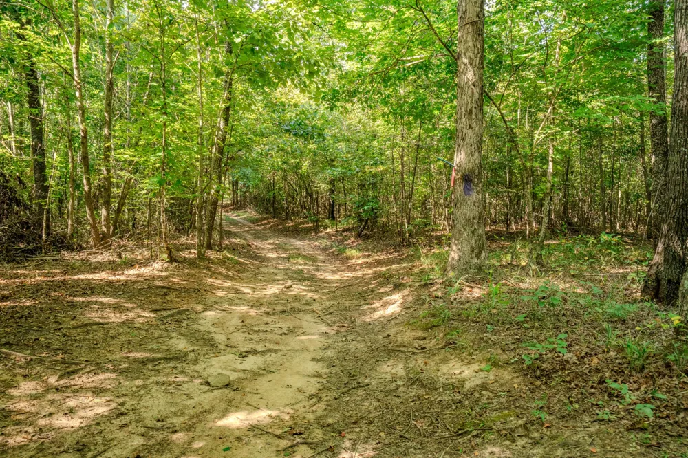 9270 Last Butler Rd Iron City, TN 38463
