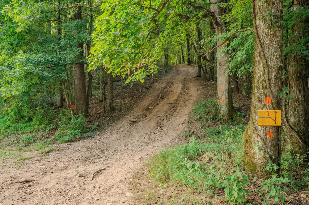 9270 Last Butler Rd Iron City, TN 38463