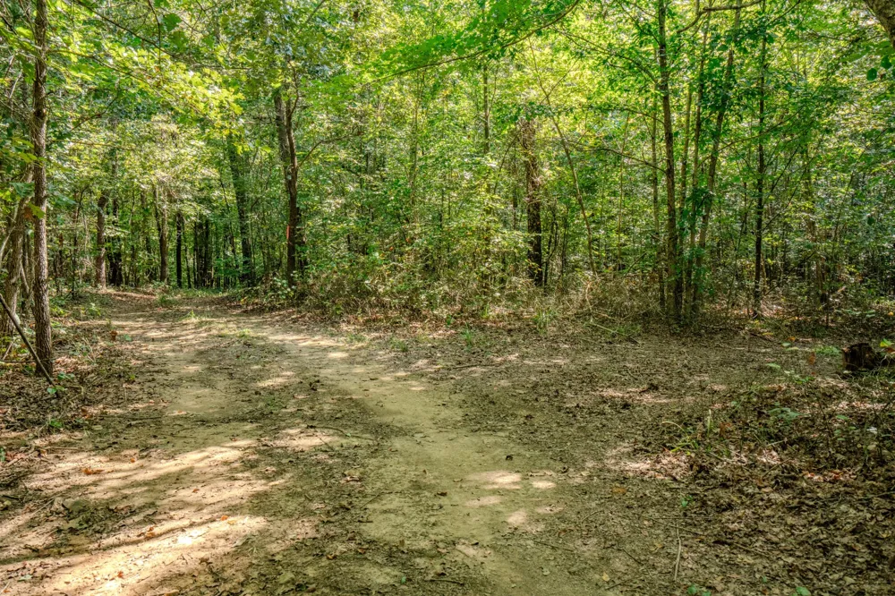 9270 Last Butler Rd Iron City, TN 38463