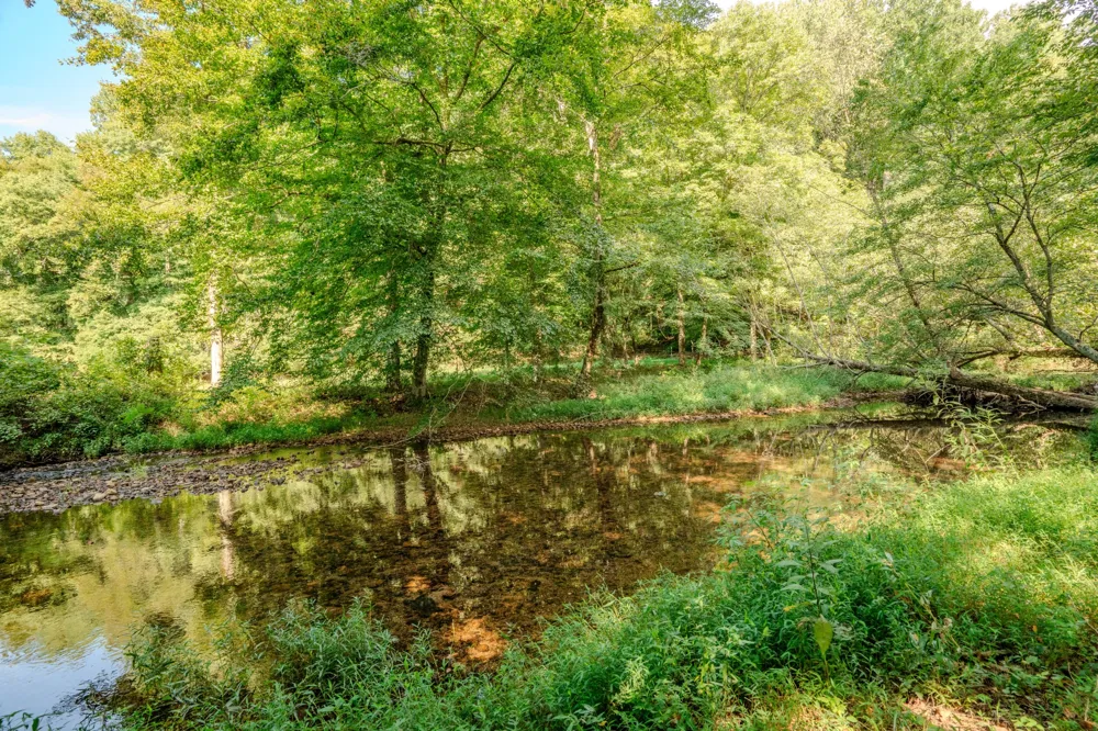 9270 Last Butler Rd Iron City, TN 38463