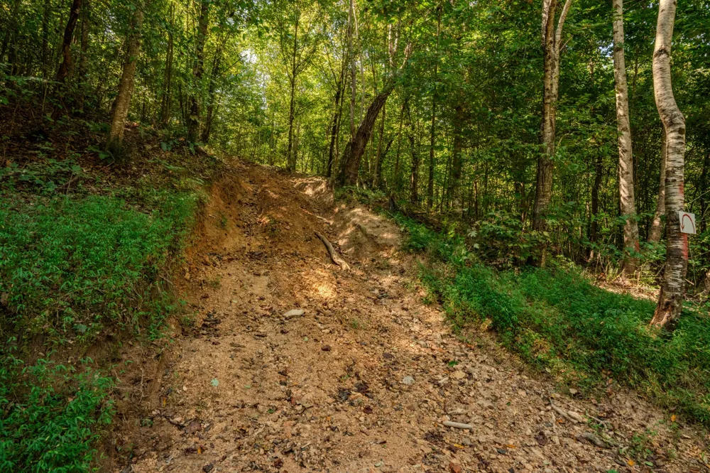 9270 Last Butler Rd Iron City, TN 38463