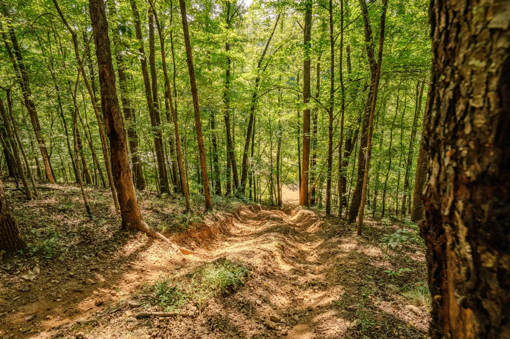 9270 Last Butler Rd Iron City, TN 38463