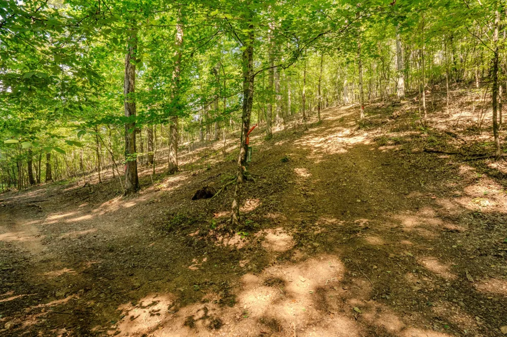 9270 Last Butler Rd Iron City, TN 38463