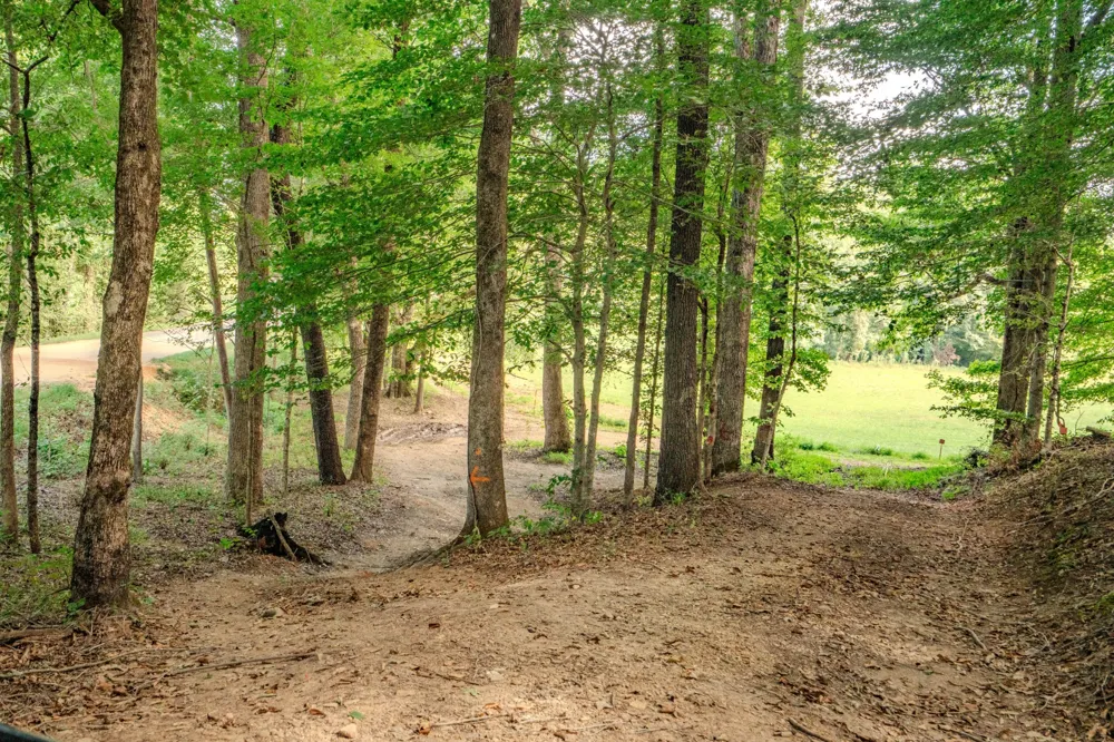 9270 Last Butler Rd Iron City, TN 38463